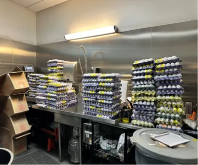 Eggs 1 final.jpg